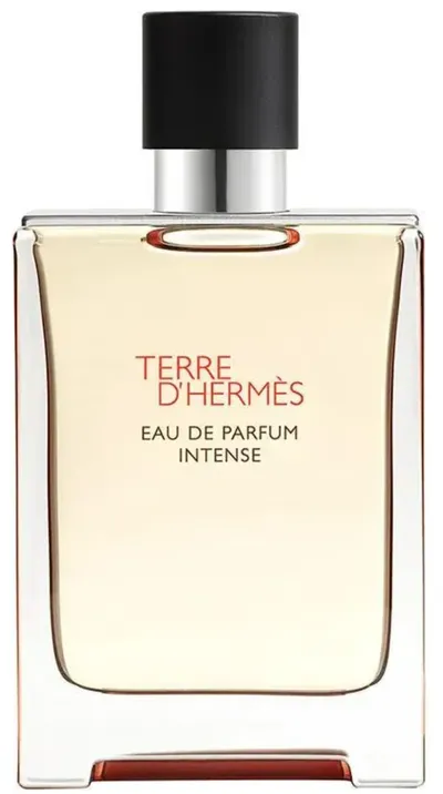 Hermes Hermès Terre d'Hermès Eau Intense EDP