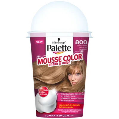 Palette Mousse Color Shake & Color (Pianka koloryzująca do włosów)