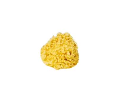 You & You Premium Honeycomb Sponge (Gąbka morska)