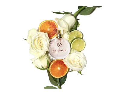 Malvolia Perfums Day Dream, Pheromone Parfum