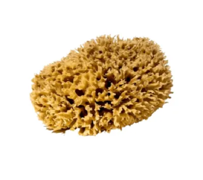 You & You Premium Honeycomb Sponge (Gąbka morska)