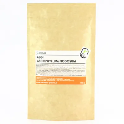 Calaya Algi Ascophyllum Nodosum