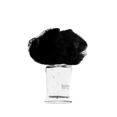 Filippo Sorcinelli Atmosphere d'Emotion Collection, Pioggia Forte Parfum