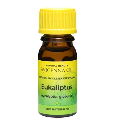 Avicenna Oil Naturalny olejek eteryczny kamforowy