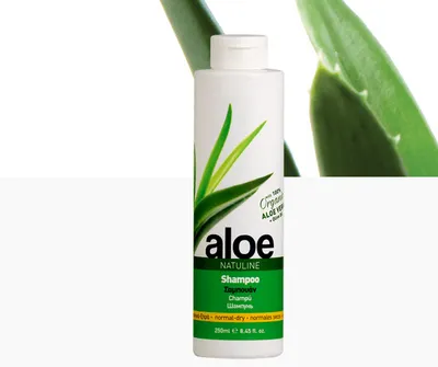 Body Farm Natuline Aloe Shampoo (Szampon do włosów przetłuszczających)