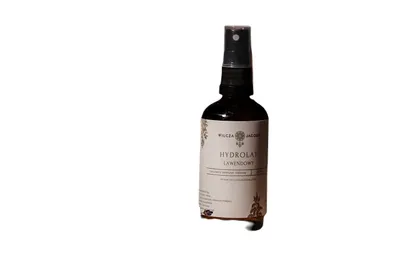 Wilcza Jagoda Hydrolat lawendowy