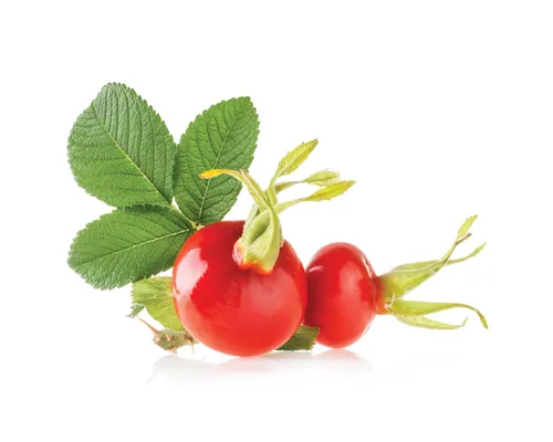 E-naturalne.pl Drobnoziarnisty peeling z pestek dzikiej róży
